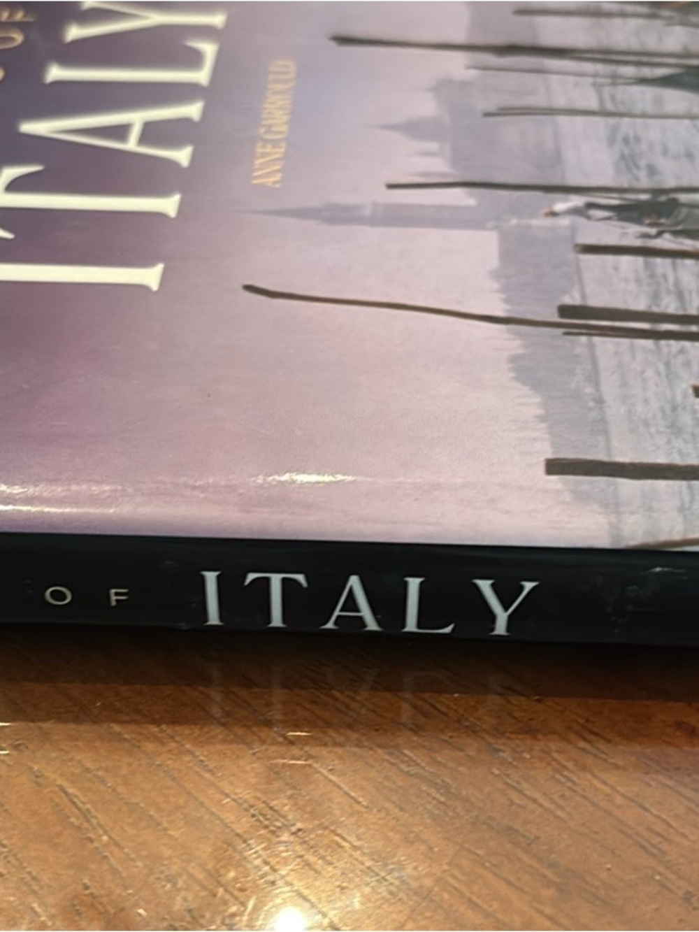 Travel Coffee Table Book - Italy (Purple & Black Cover)